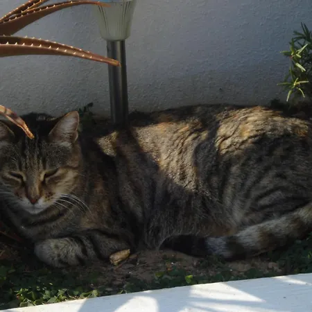 Apartamento Paros Carmel Studio-apartment *