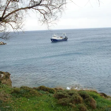 Paros Carmel Studio-apartment 公寓 洛加拉斯