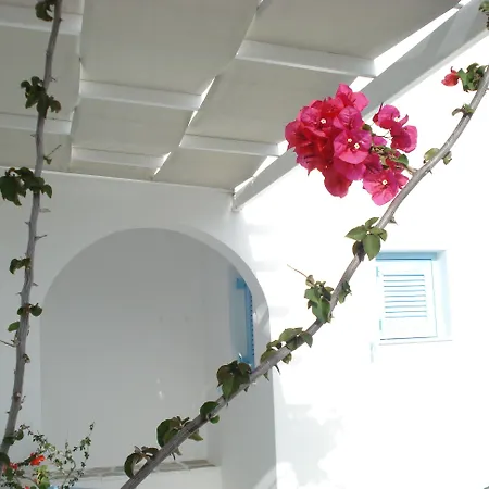 アパート Paros Carmel Studio-apartment *